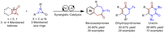 3D31